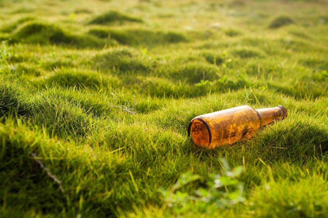 Garrafa de vidro sobre um vasto gramado verde